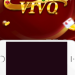 RUMMY VIVO